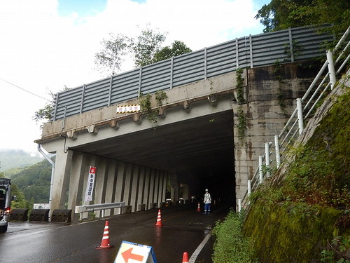 シェッド点検・調査