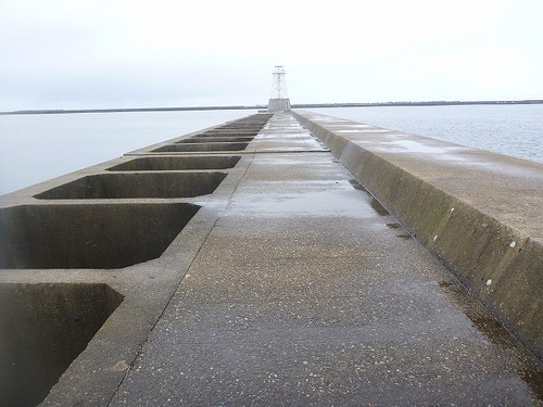 堤防・護岸点検・調査