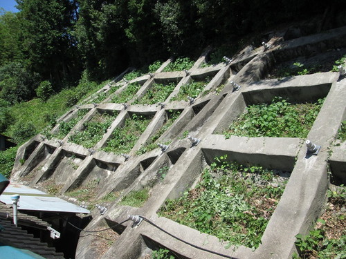 法面点検・調査